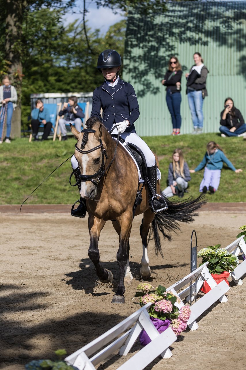 Bild 512 - Pony Akademie Turnier